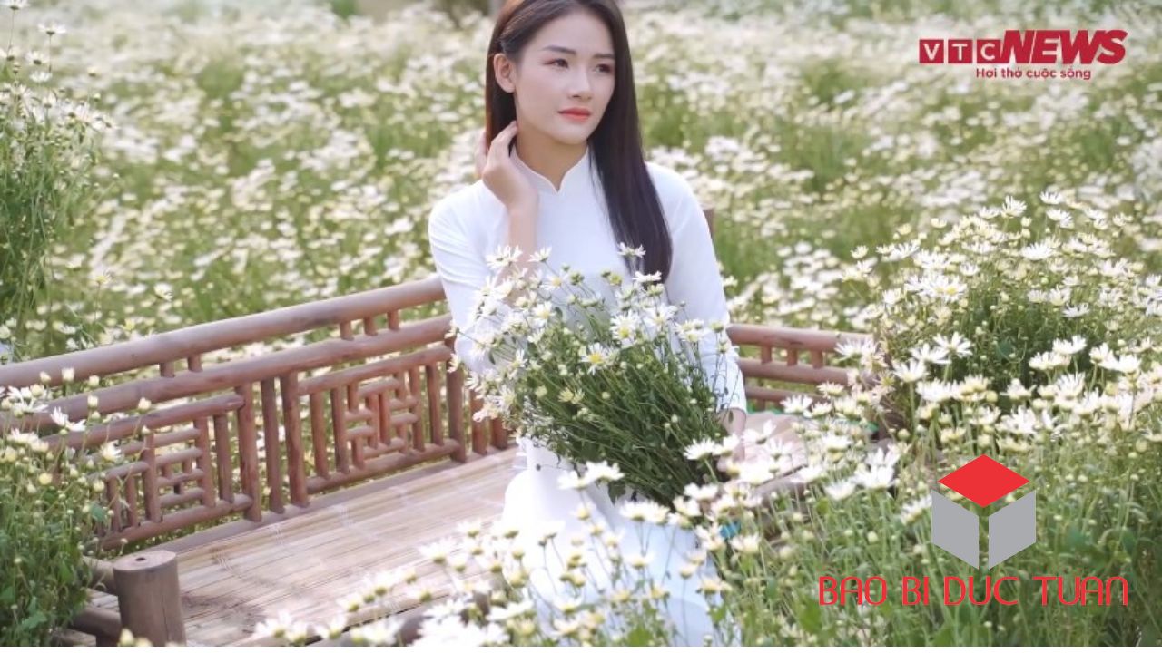 loai hoa choi tet mien bac dep y nghia 8