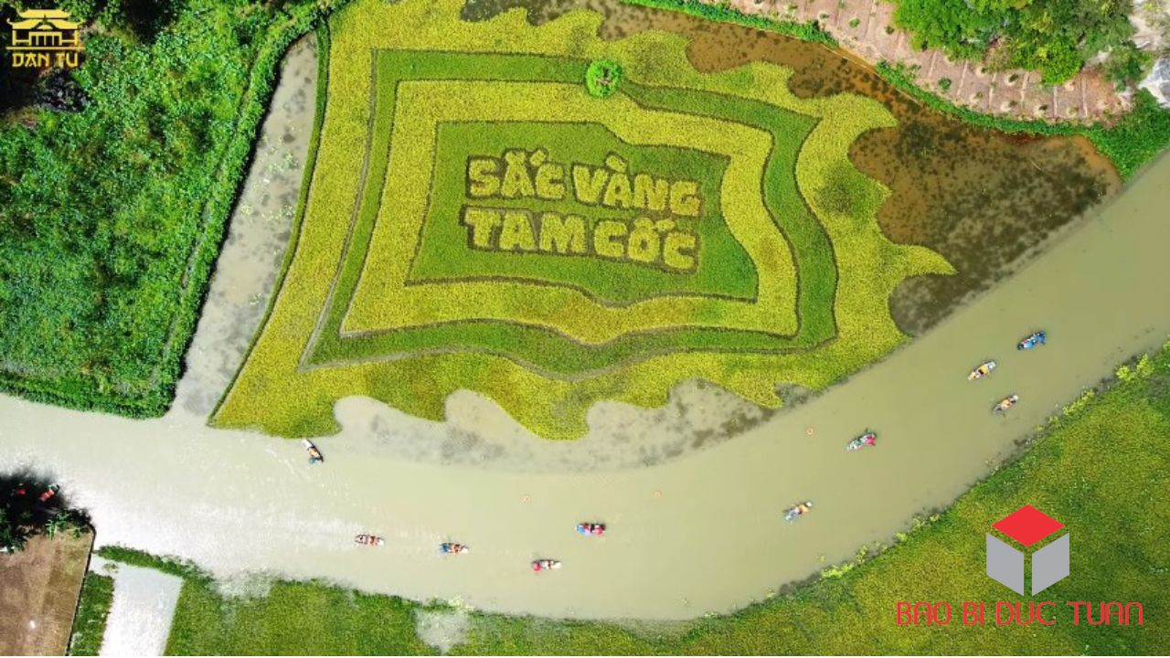 9 địa điểm du xuân đầu năm 2023 đẹp nhất Ninh Bình 13 dia diem du xuan dau nam ninh binh 3