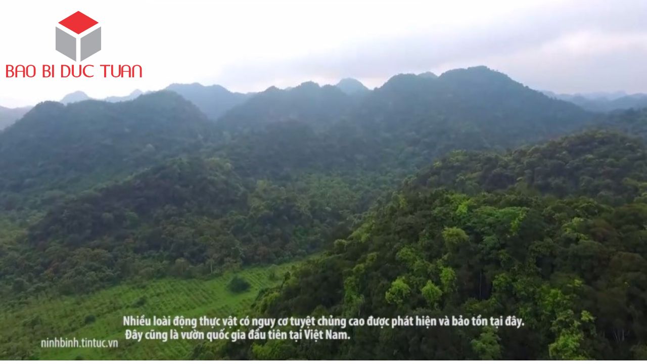 9 địa điểm du xuân đầu năm 2023 đẹp nhất Ninh Bình 15 dia diem du xuan dau nam ninh binh 5