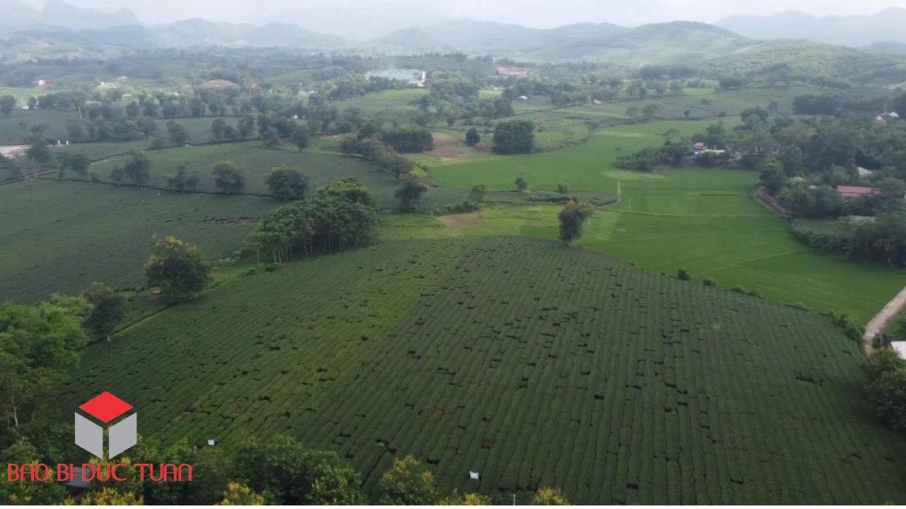 9 địa điểm du xuân đầu năm 2023 đẹp nhất Phú Thọ 16 dia diem du xuan dep nhat phu tho 6