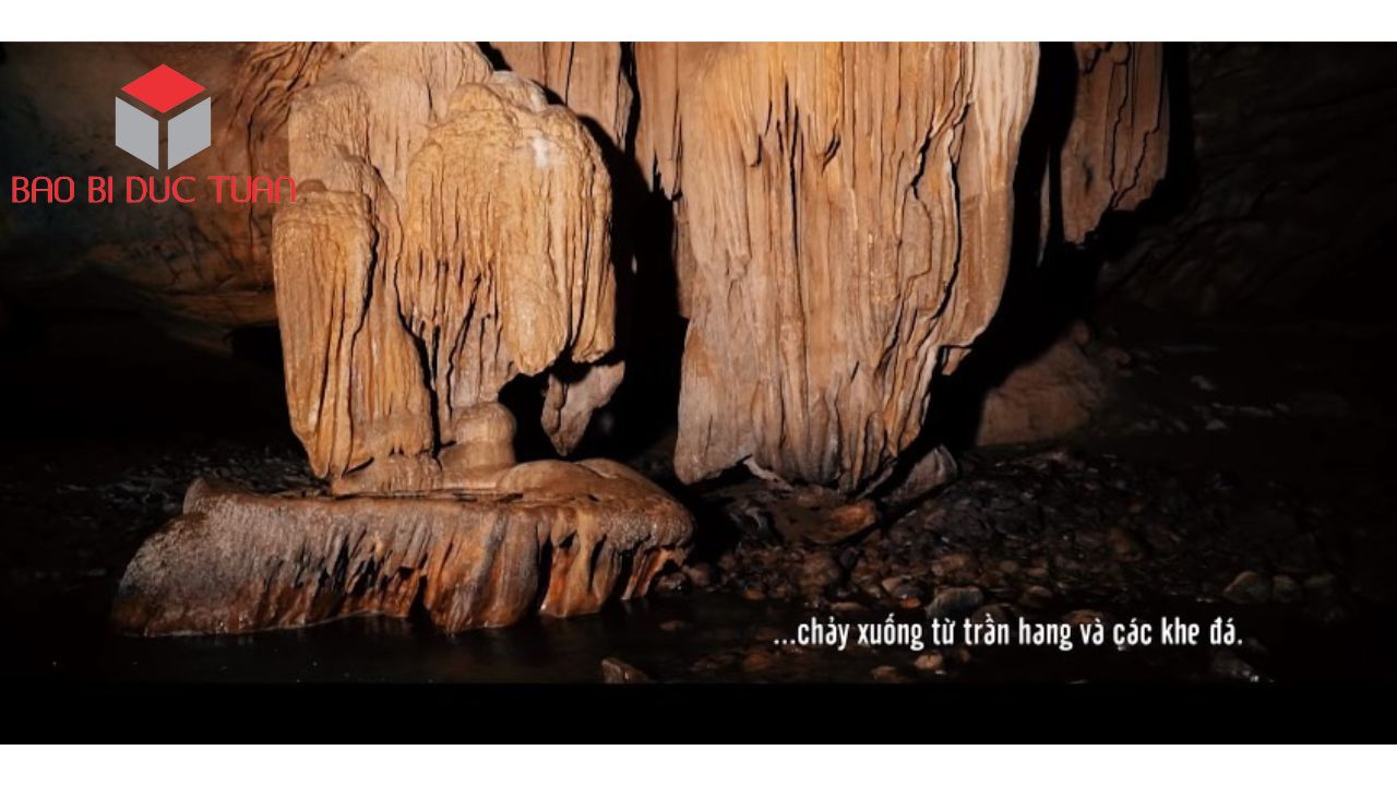 9 địa điểm du xuân đầu năm 2023 đẹp nhất Phú Thọ 17 dia diem du xuan dep nhat phu tho 7