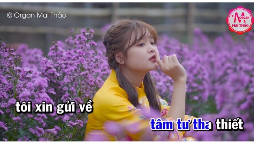 Những bài hát karaoke hay, dễ hát mới nhất 2025 7 nhung bai hat karaoke hay de hat moi nhat 2023 7