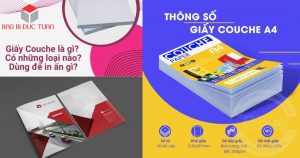 5 loai giay pho bien 2