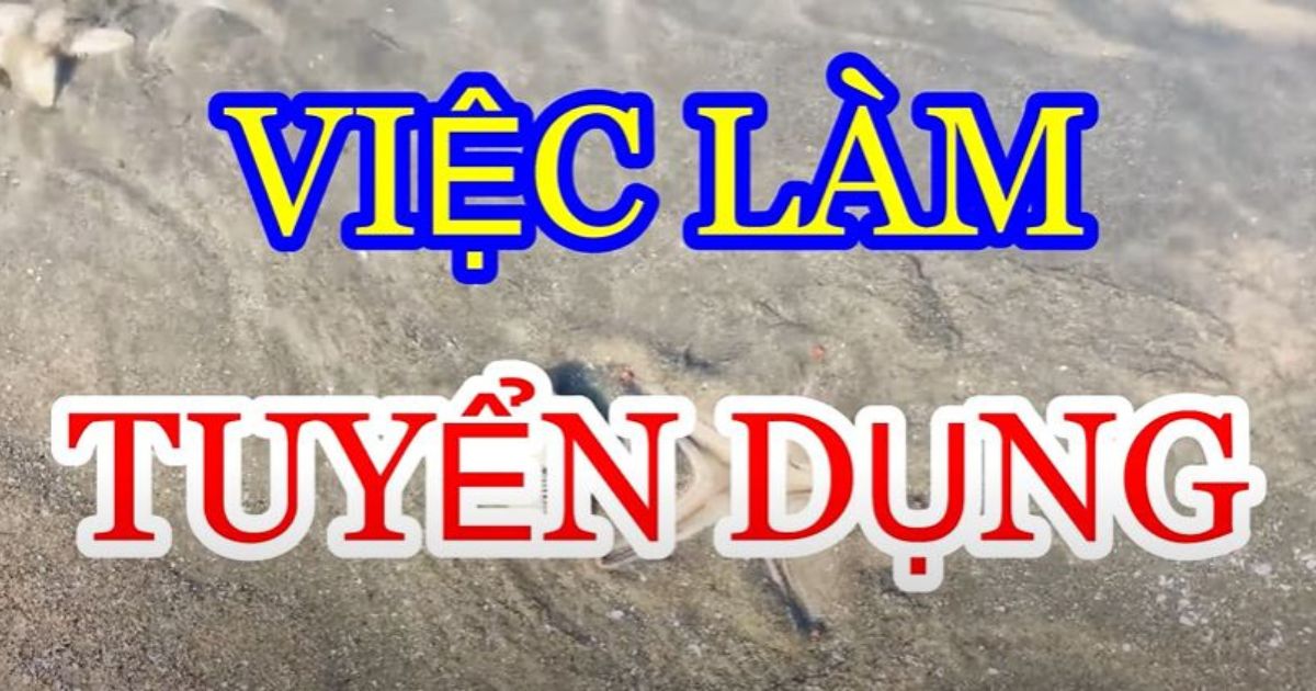 Kinh nghiệm tìm việc làm lương cao tại Hà Nội 2023 4 kinh nghiem tim viec lam luong cao tai ha noi 1