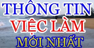 kinh nghiem tim viec lam luong cao tai ha noi 2