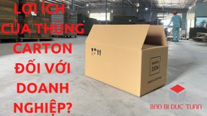 loi ich cua thung carton 1