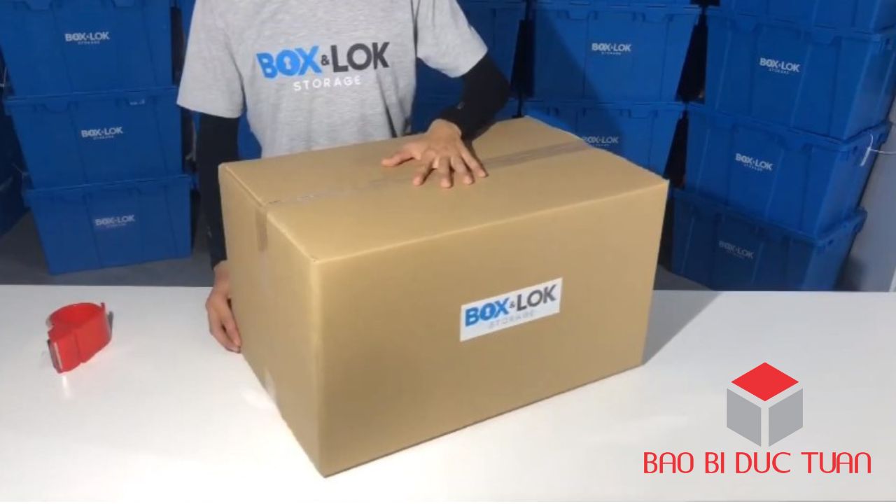 loi ich cua thung carton 6