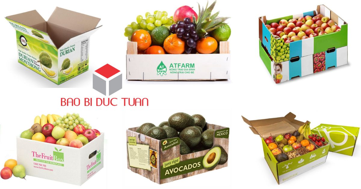 Thùng carton được sử dụng nhiều đựng trái cây, hoa quả xuất khẩu