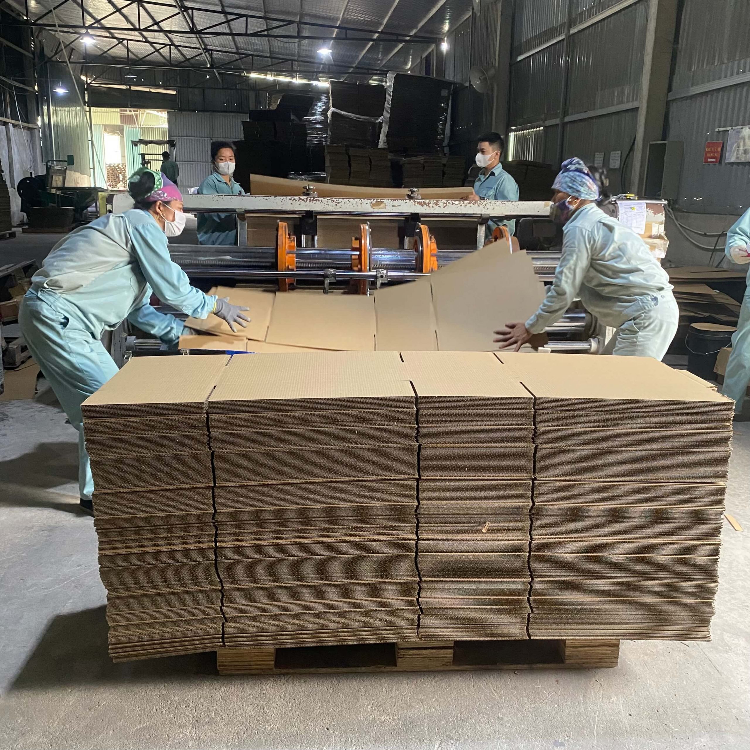 xuong san xuat ductuan packing 3 scaled