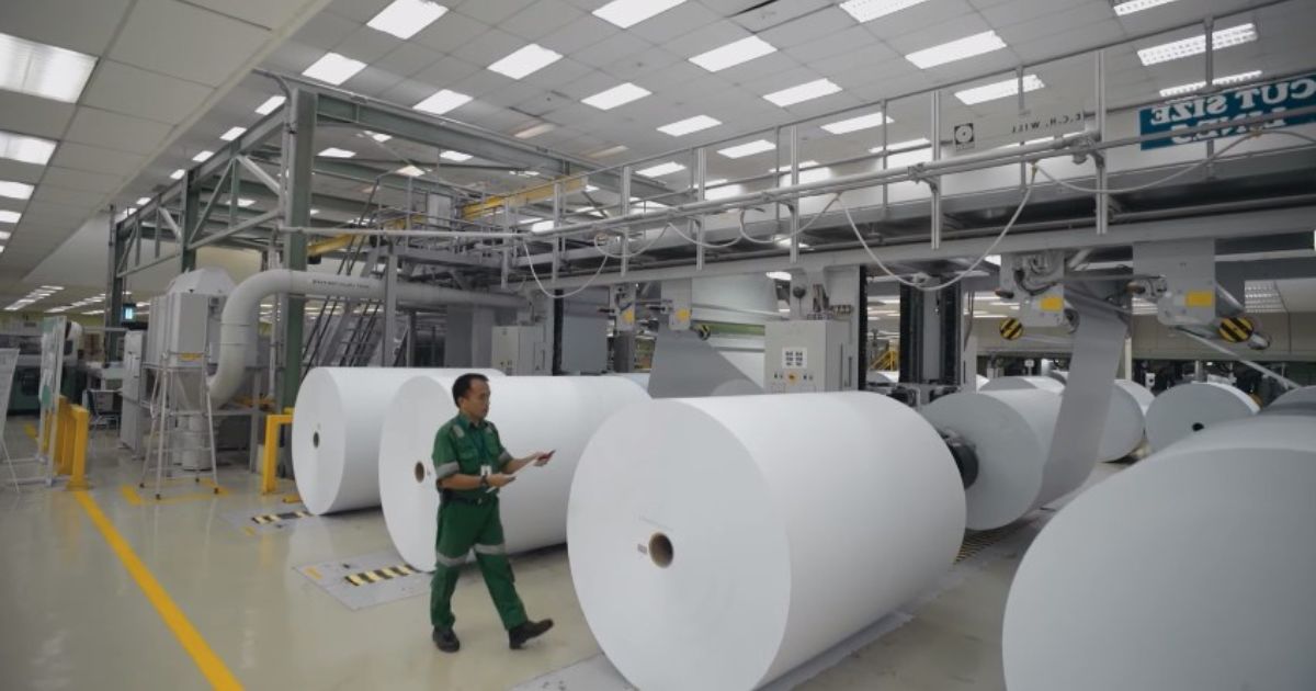 Giá nguyên liệu ảnh hưởng nhiều nhất đến giá bán thùng carton