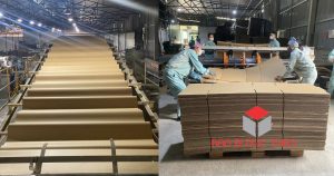 cong ty bao bi carton 5 lop 2