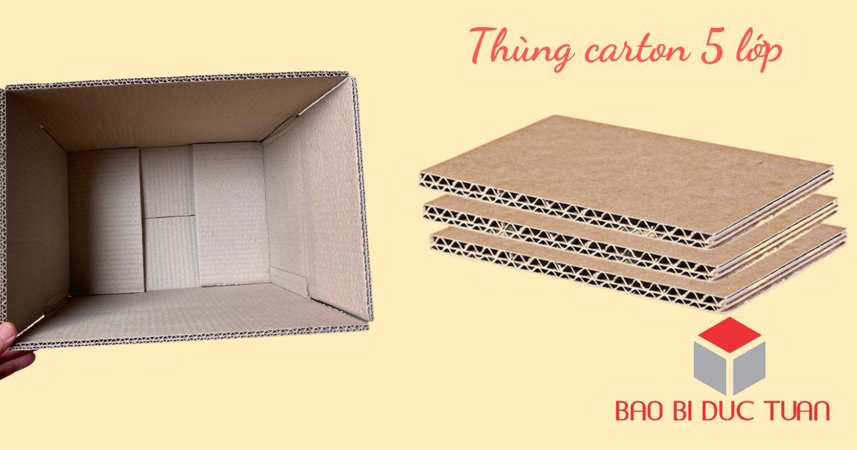 Công ty sản xuất thùng carton giá rẻ ở Cầu Giấy Hà Nội 2023 8 cong ty san xuat thung carton gia re cau giay 3.1