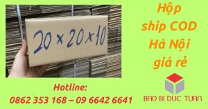 hop ship cod ha noi 4