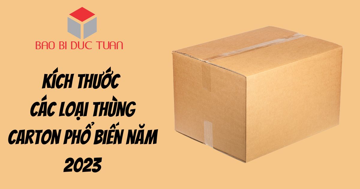 kich thuoc thung carton 2