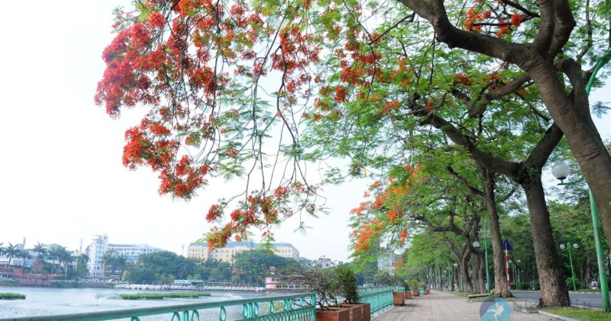 Ảnh đẹp Hồ Tây