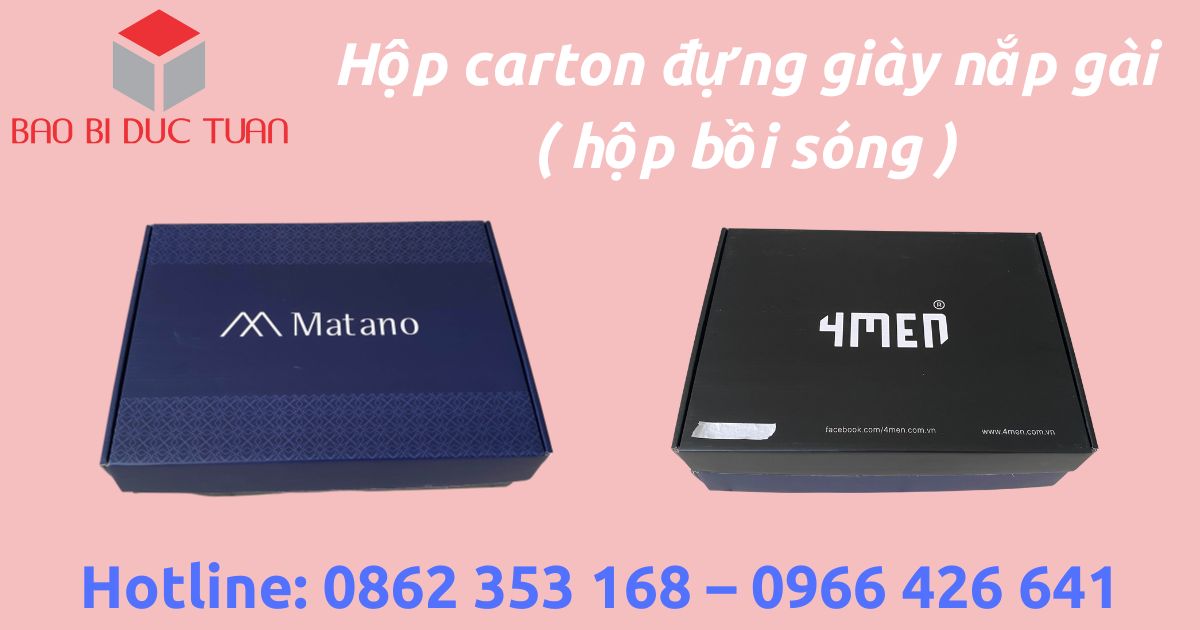 mua hop carton dung giay ha noi 5