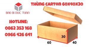 thung carton 60x40x30 gia re 1