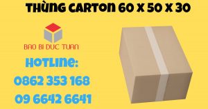 thung carton 60x50x30 1