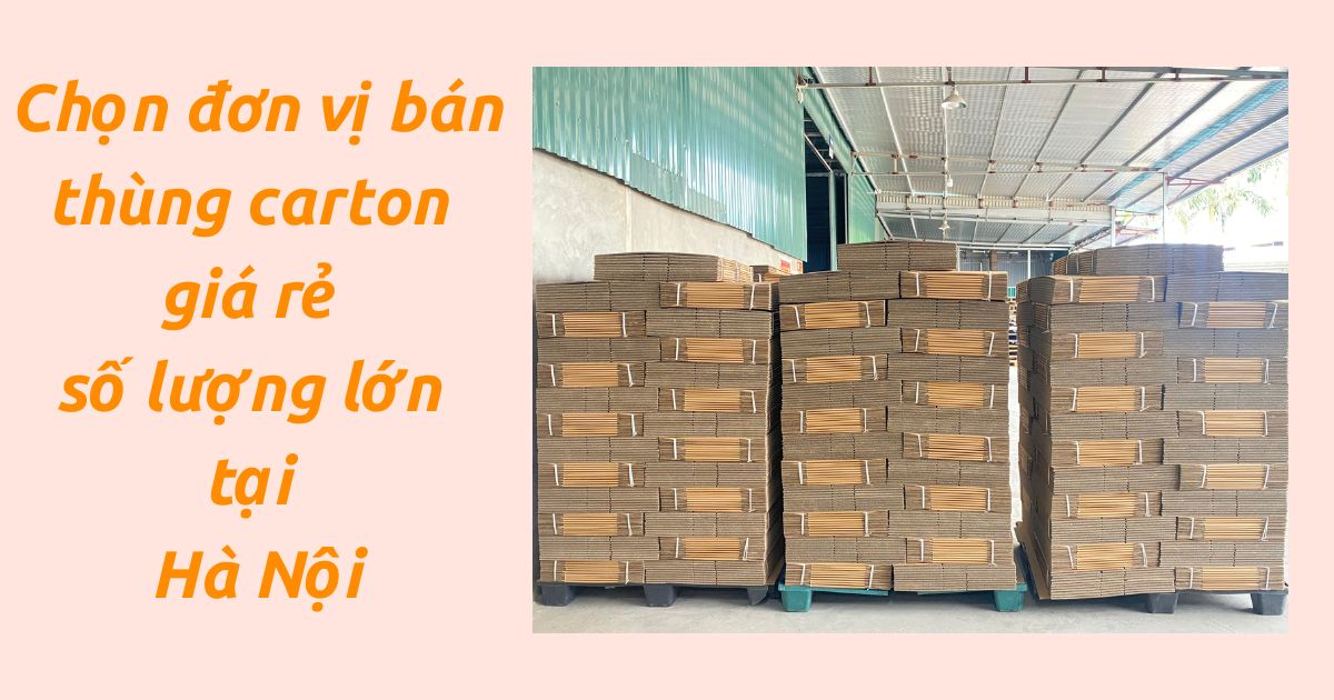 Giải pháp chọn đơn vị bán thùng carton giá rẻ số lượng lớn