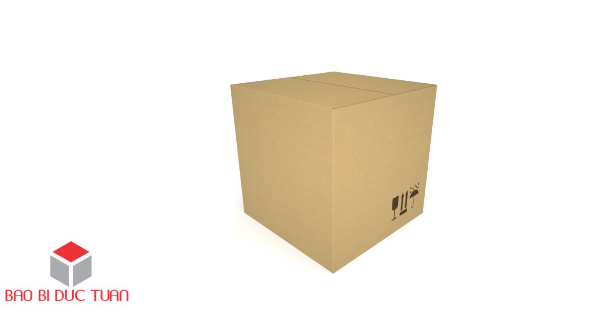 bao bi carton 3