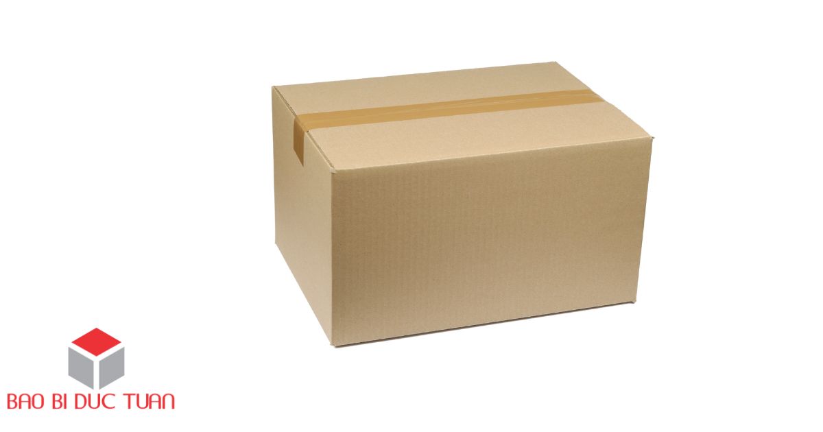 bao bi carton 4