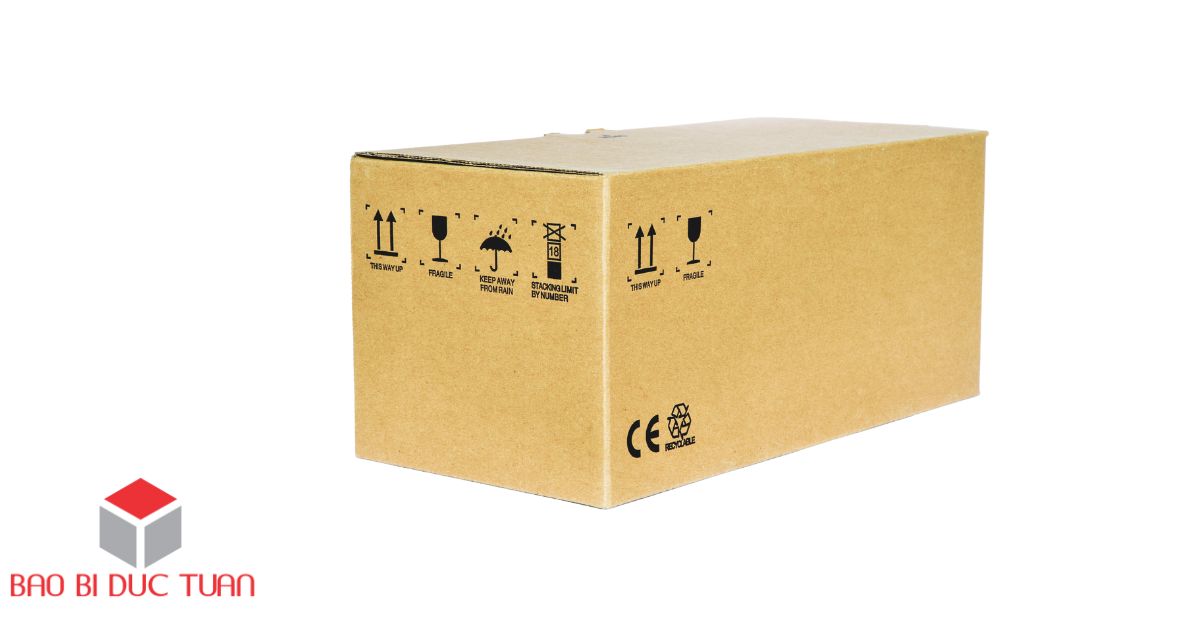 bao bi carton 5