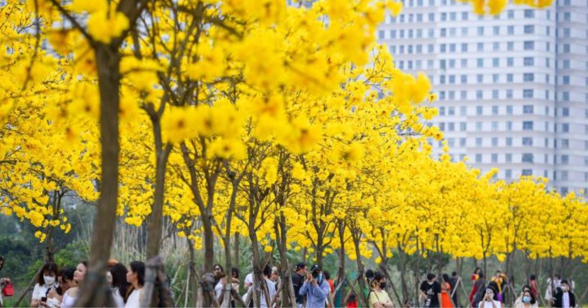 Báo Giá Thùng Carton tại Hà Đông - Uy tín 5 bao gia thung carton ha dong 2