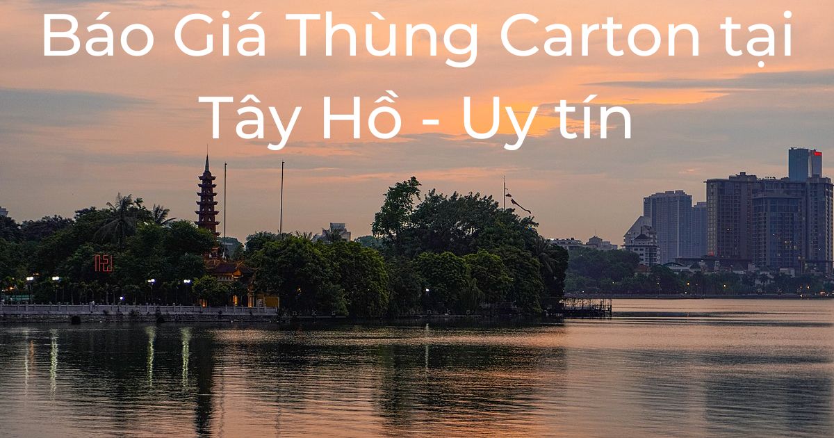 bao gia thung carton tay ho 2
