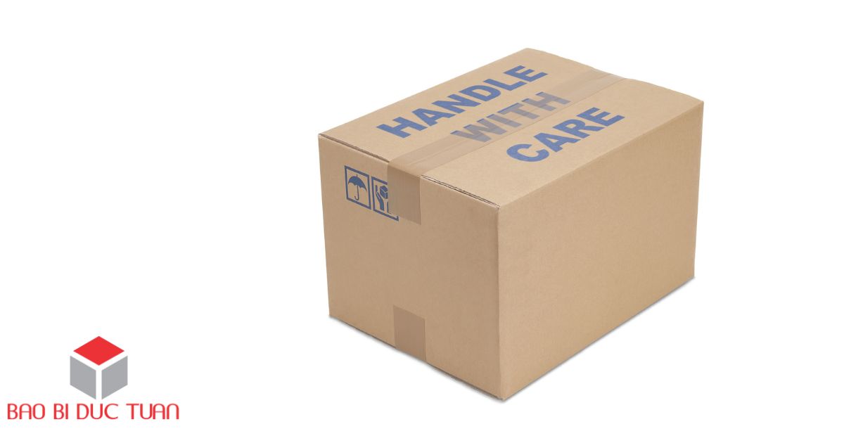 dat thung carton 5
