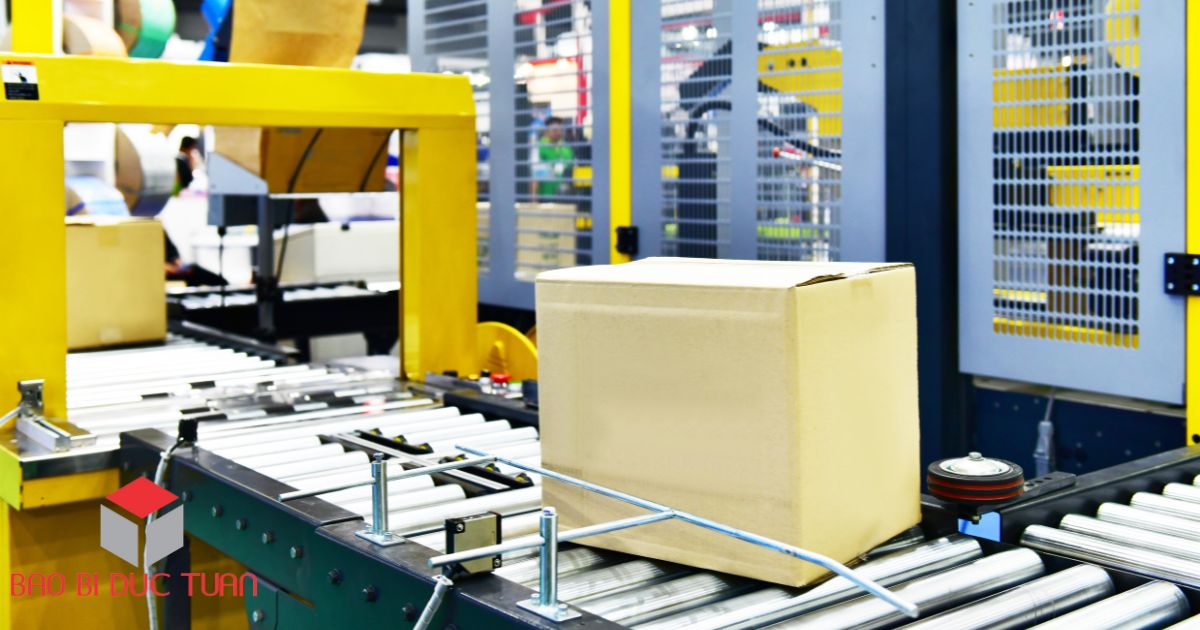 dong thung carton 4