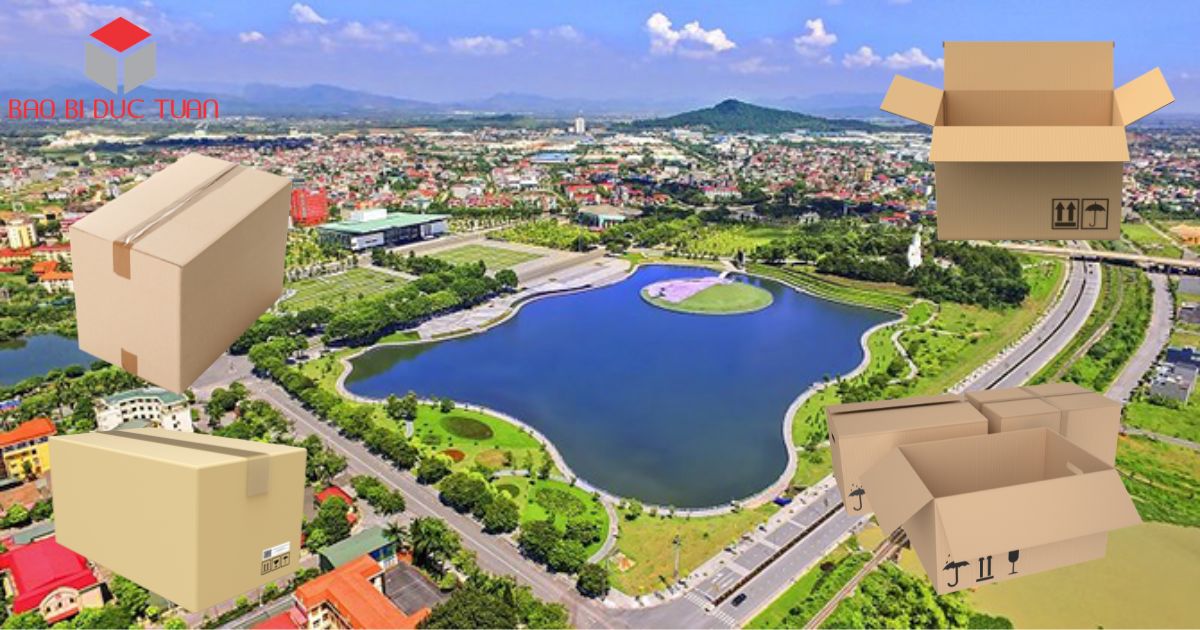 lam thung carton theo yeu cau vinh phuc 1