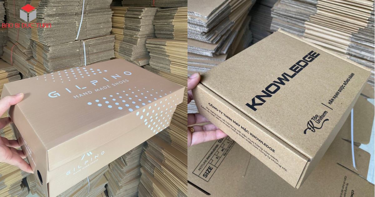 Mẫu hộp bồi thông dụng hiện nay