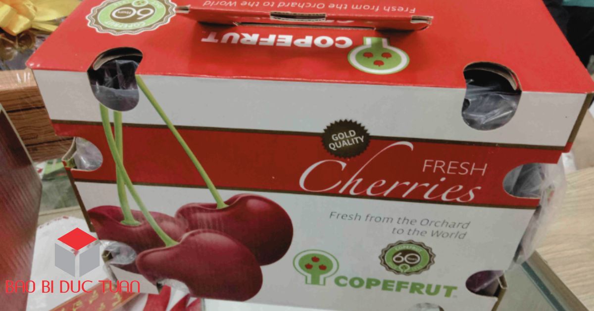 Cẩm nang chọn thùng carton đựng hoa quả chất lượng và tiết kiệm chi phí 6 thùng carton đục lỗ