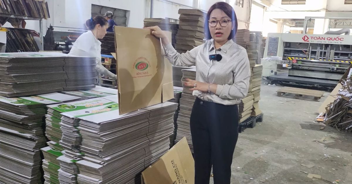Cẩm nang kiểm tra chất lượng thùng carton: Tổng quan về tiêu chuẩn và cách thực hiện 48 tieu chuan kiem tra thung carton 1
