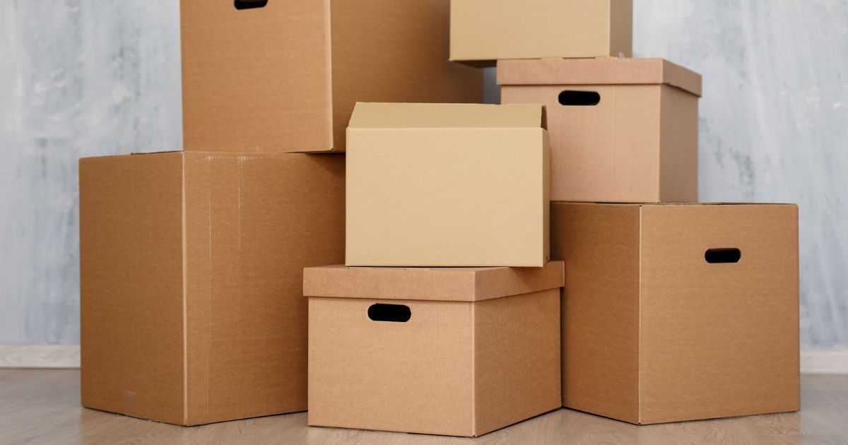 xuong thung carton 4