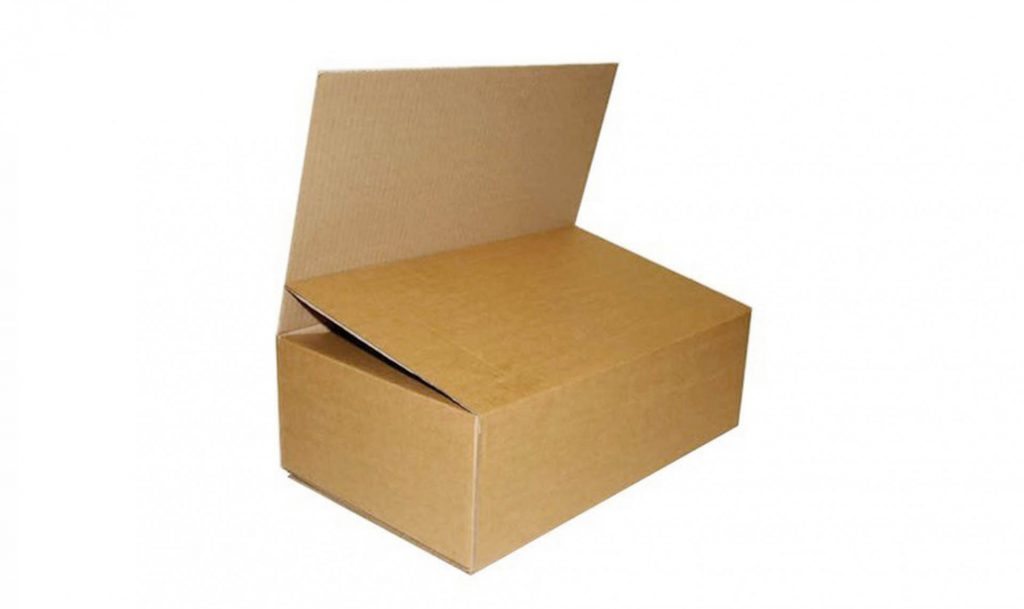 Thung carton 9 nap chom