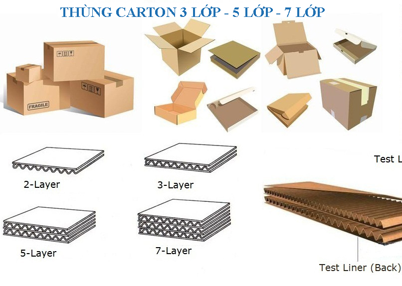 Tìm hiểu thùng Carton 5 lớp sóng A, B, C, E là gì? 6 thung carton 3 lop 5 lop 7 lop