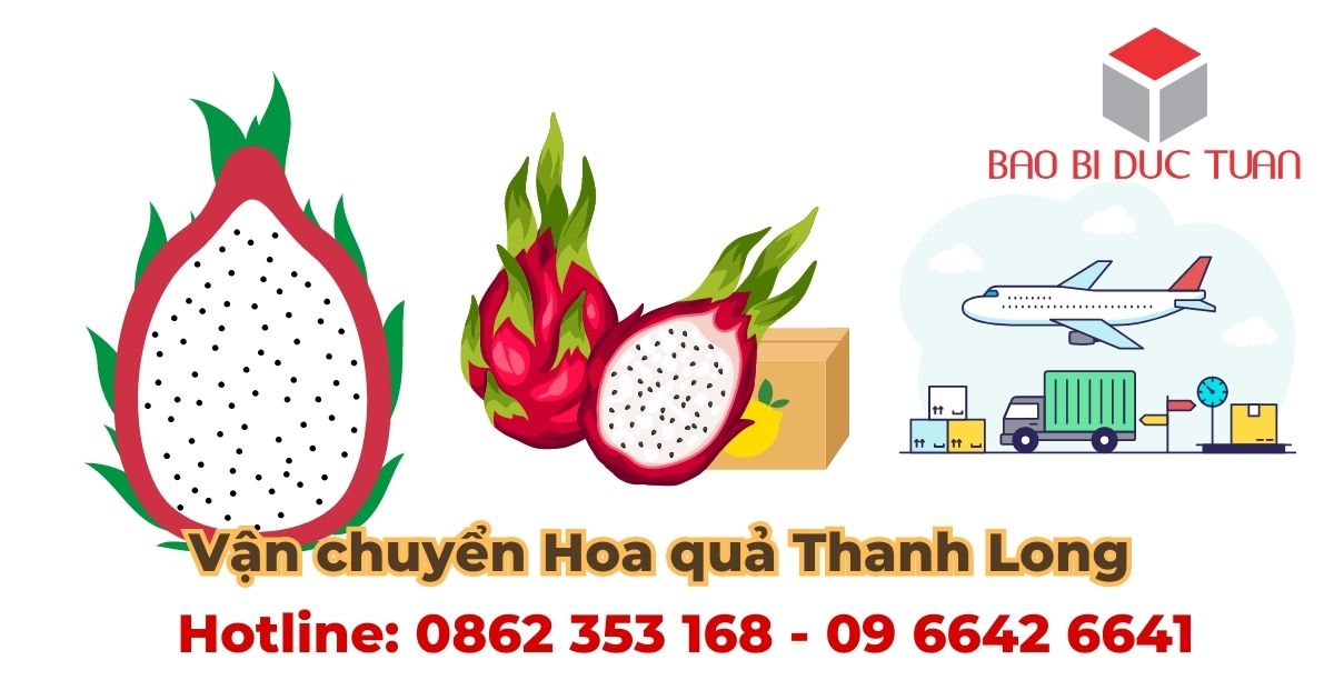 Vận chuyển Hoa quả Thanh Long an toàn bằng thùng carton 15 thung carton dung thanh long