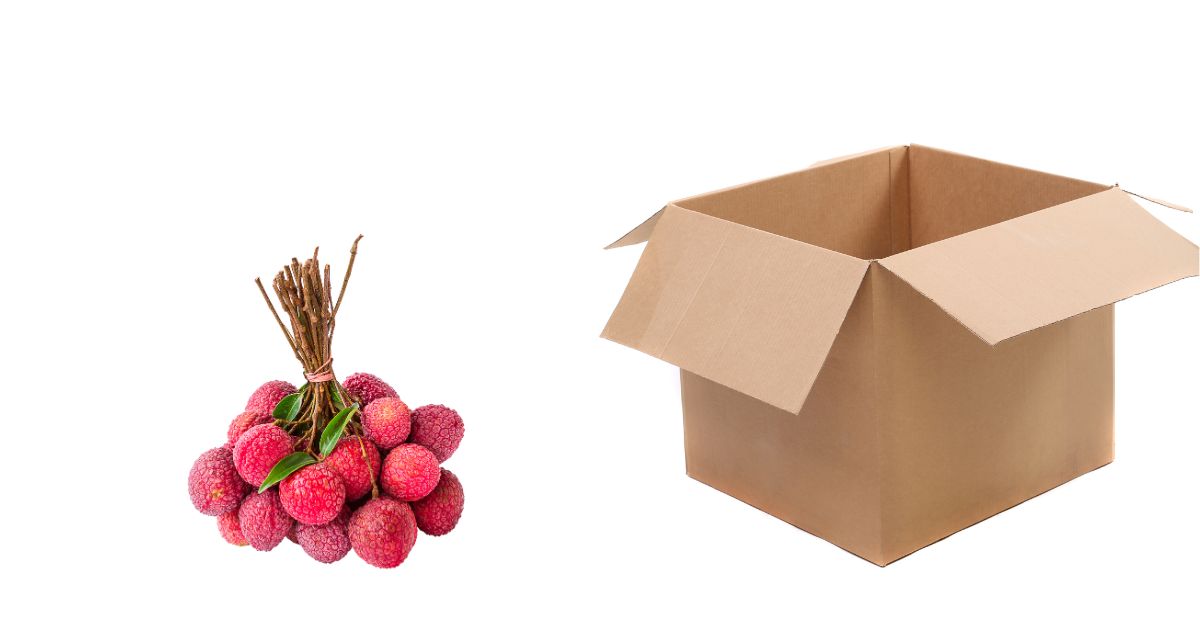 Cung cấp thùng carton đựng vải khô, vải thiều xuất khẩu toàn miền Bắc 19 thung carton dung vai kho vai thieu xuat khau 1 1