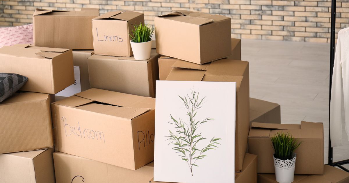 Mua thùng carton ở xưởng bao bì Đức Tuấn có chất lượng ổn định, giá cạnh tranh