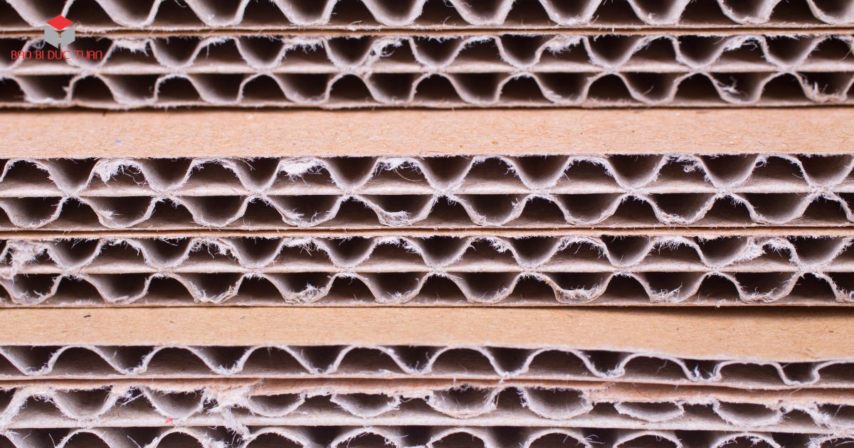 Giấy bìa carton thông thường