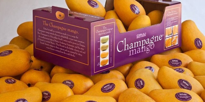 thung carton dung xoai 3