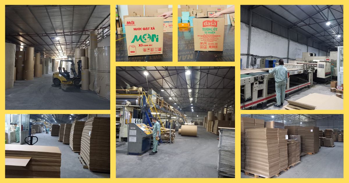 cong ty san xuat bao bi duc tuan