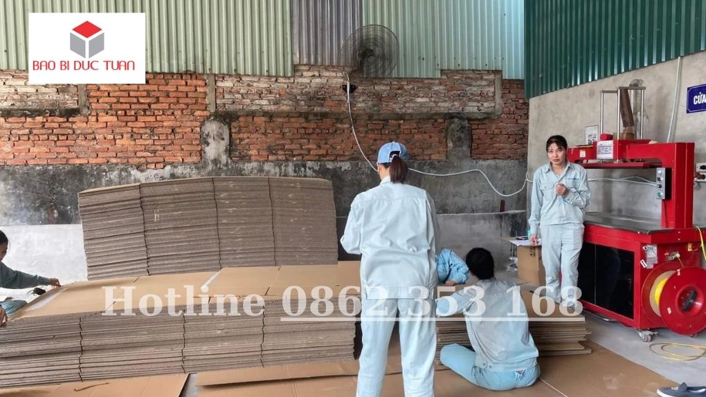 Bao bì đức tuấn