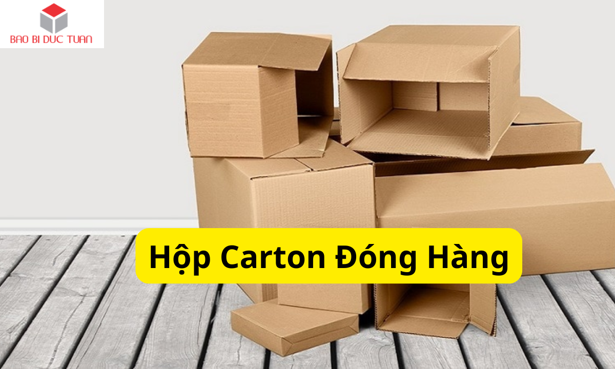 Hộp Carton Đóng Hàng – Giải Pháp Đóng Gói Cho Doanh Nghiệp 1 Hộp Carton Đóng Hàng