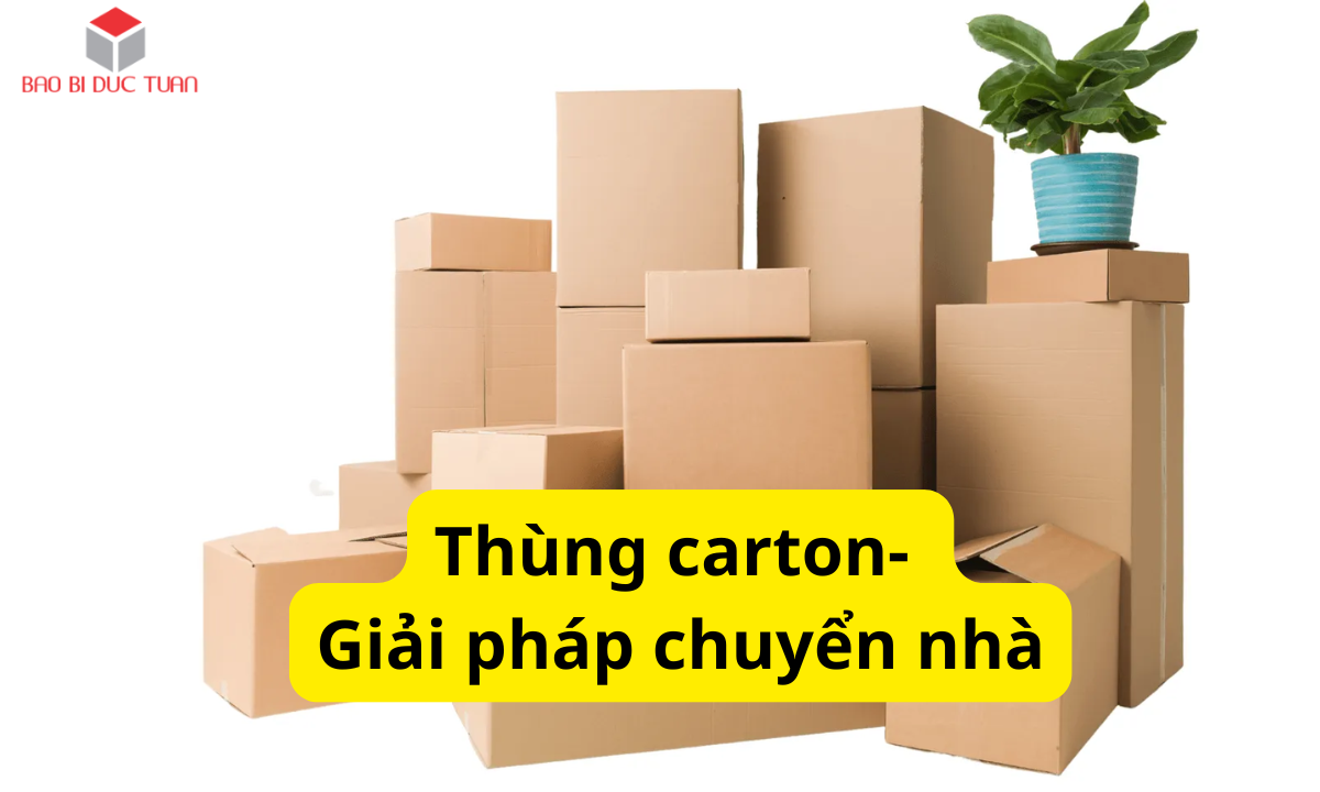 Thùng Carton Chuyển Nhà – Giải Pháp Đóng Gói Cho Mọi Gia Đình 1 Thùng Carton chuyển nhà