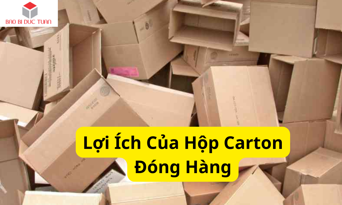 Lợi ích của hộp carton đóng hàng Lợi ích của hộp carton đóng hàng