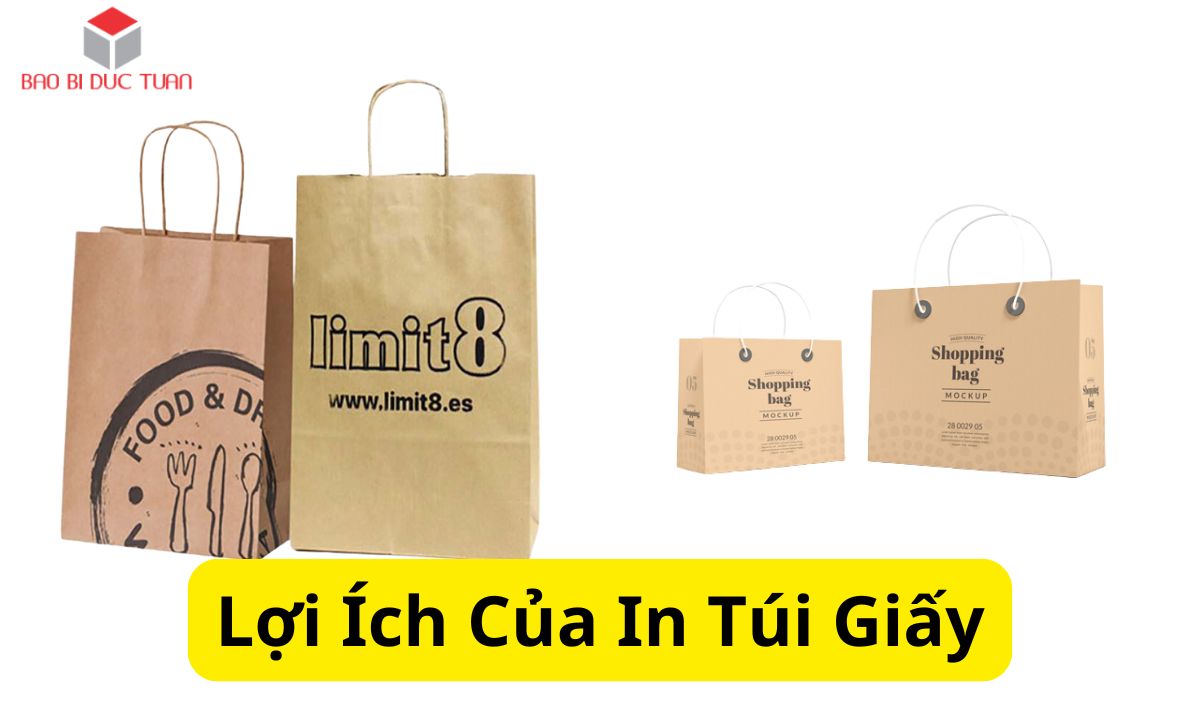Lợi ích của in túi giấy Lợi ích của in túi giấy