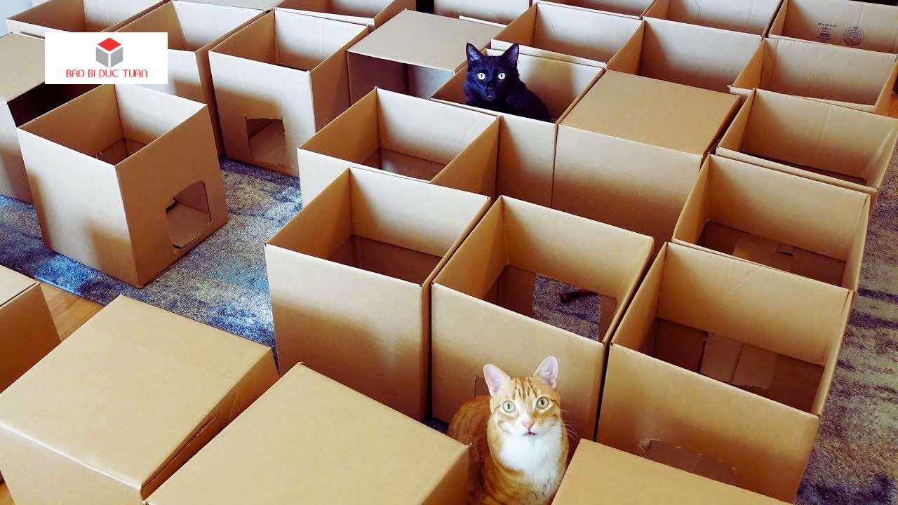 huong dan lam thung carton 4